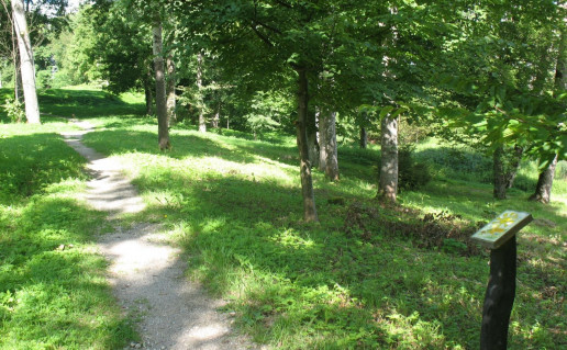 56_Giliuko ir Kastoniuko takas. A.Brazdeikytes nuotr.jpg